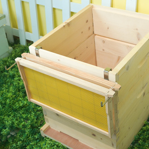 Marco de colmena de acero inoxidable para inspección de cosecha de miel, marco de apicultura Manual de madera para uso agrícola, nuevo estado usado - Product Image 2