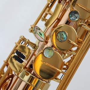 <span class=keywords><strong>Saxophone</strong></span> <span class=keywords><strong>alto</strong></span> <span class=keywords><strong>droit</strong></span> en laiton doré avec laque transparente, emballage OEM, tonalité EB, style Focustyle - Product Image 3