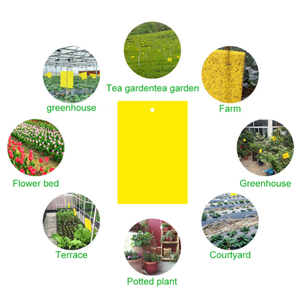 高コスト効果の高い黄色PPシート材料ダブルサイズ効果的なダニ害虫駆除のためのイエローブルー粘着トラップ - Product Image 3
