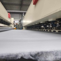 Géotextile à fibres courtes pour les décharges et la protection des pentes