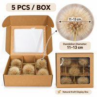 Kotak Hadiah Bunga Kering Dandelion Awet Langsung dari Pabrik, Dandelion Abadi Tahan Lama untuk Dekorasi Rumah, Perlengkapan Kerajinan Bunga DIY