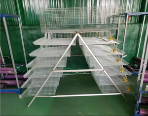 Tanzanya çiftliğinde besi için kapalı açık bıldırcın kafesi - Product Image 6