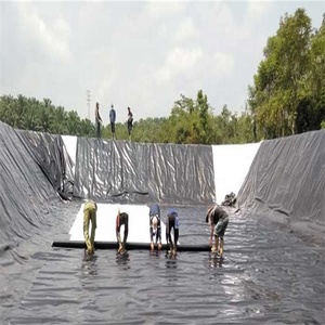 <span class=keywords><strong>2025</strong></span> phổ biến hồ bơi màng AO <span class=keywords><strong>HDPE</strong></span> lót cho màng ẩm - Product Image 1