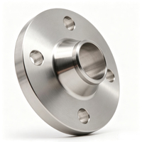 Bride à col soudé en acier inoxydable OEM, bride à face surélevée WN norme ANSI, taille personnalisée pour connexion industrielle de pipeline
