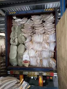 Chaise à dossier croisé en bois d'orme à assembler et à abattre - Product Image 5