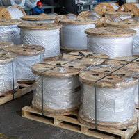 Oferta Especial de Medio de Año: Hilo de Acero Galvanizado de Alta Resistencia Personalizado para Refuerzo de Cable de Fibra Óptica