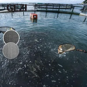 Cage à poisson lanterne filets à perles filet à poulet filet HDPE filet en plastique sans nœud