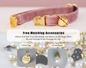 Ensemble collier et laisse personnalisés pour chat en velours rose poudré avec nœud papillon, étiquette nominative gravée sur mesure pour chaton ou chiot, clochette dorée offerte, pour petit chien femelle - Product Image 4