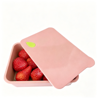 Kleine, ecovriendelijke, biologisch afbreekbare rechthoekige rijstschil fruitdoos voor afhaalmaaltijden, school- en kampeerlunches
