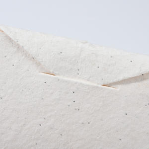 Papel incrustado de semillas biodegradables Formas personalizables para materiales promocionales verdes - Product Image 6