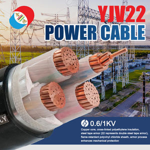 Cavo corazzato YJV22 per l'espansione della fabbrica/rete urbana 0.6/1kV - Product Image 2