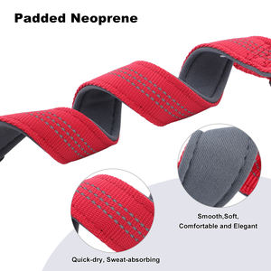 <span class=keywords><strong>Collar</strong></span> reflectante suave para el cuidado de mascotas, el mejor Control de caza, con acolchado de neopreno para perros, táctico al aire libre - Product Image 3