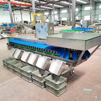 Sorteermachines En Sorteermachines Voor Groenten En Fruit, Producten Voor De Grootte, Sorteermachine Voor Fruit En Sortering