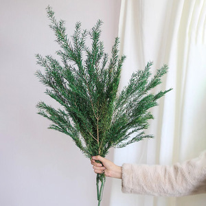 Mirtilli Dorati Sbiancati <span class=keywords><strong>e</strong></span> Conservati, Senza Rami Neri, per Fioristi <span class=keywords><strong>e</strong></span> Fai-da-Te, Fornitura per Bouquet - Product Image 3