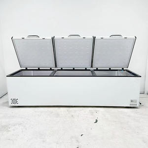 Freezer Dada Byron Kapasitas Tinggi Suhu Tunggal Pendinginan Langsung untuk Kebutuhan Penyimpanan Intensif - Product Image 4