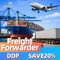 Agent de transit professionnel, services de logistique express pour les États-Unis et le monde entier