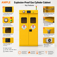 Armoire à bouteilles de gaz 2 compartiments, antidéflagrante, intelligente, double porte, fournisseur OEM ODM personnalisé pour le stockage de gaz industriel en laboratoire