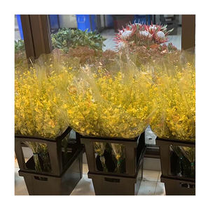 Soporte de estante de caja de flores de plástico accesorio de exhibición de supermercado para almacenamiento y gestión de suministros - Product Image 4