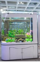 Aquarium de luxe moderne en forme de balle ovale avec meuble à chaussures et écran en verre, capacité 500L, fonctionnement intelligent, pour salon