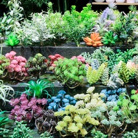 Succulentes en gros décoratif mini cactus assortiment extérieur intérieur suspendu arrangement plantes artificielles succulentes à vendre