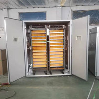Incubateur d'oeufs Machine à couver Hatcher d'oeufs de caille Hatcher d'oeufs de canard