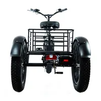 China venda quente adulto bicicleta de três rodas triciclo elétrico 750W trike 48V bateria li-ion