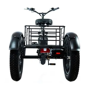 Großhändler Erwachsene 750w/500W 3 Rad Auto Ladung elektrische chinesische elektrische Dreirad fette Reifen elektrische Dreirad