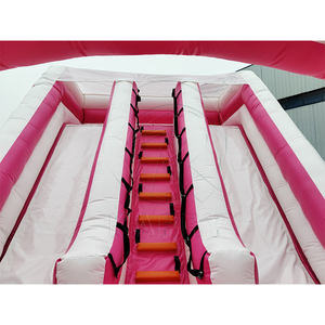 Nouveau design, toboggan gonflable commercial pour jardin, toboggan princesse à double voie pour filles, toboggan gonflable rose à vendre - Product Image 5