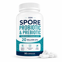 Capsules de Probiotiques et Prébiotiques Clean Label Vegan Sans OGM Formule Stable pour la Santé Intestinale et le Soutien Quotidien au Bien-être