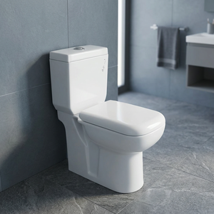 Ensemble de sanitaires économiques colorés, toilettes en céramique, WC italien avec lavabo sur pied en lotus, prix de gros - Product Image 6