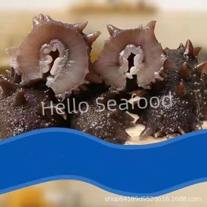 Pepino de Mar Seco de Grado de Lujo, Capturado en el Natural, para Restaurantes de Alta Gama - Product Image 3