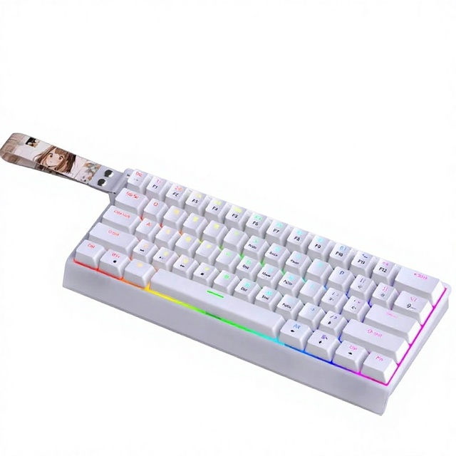 61 Keys Mechanical Keyboard RGB Backlit Wired Compact Layout Key and Cable Separated for Desk Office