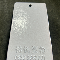 Elektrostatik Metal Boyası Epoksi Polyester Çevre Dostu Toz Boya Polyester Toz Boya Metal Boyası Epoksi