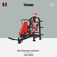Machine à triceps indépendante à leviers séparés, dossier vertical, support de pied avant, poteaux de poids latéraux, usage commercial, en acier