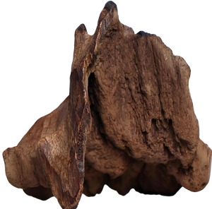 Extrait d'<span class=keywords><strong>Aquilaria</strong></span> Sinensis 10:1 Poudre de Tuchenxiang Haute Qualité Pure Naturelle de Qualité Alimentaire - Product Image 3