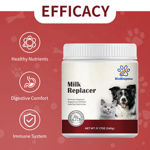 Сухой молочный заменитель для собак и кошек OEM/ODM, 260 г, с индивидуальным вкусом и составом, для поддержки иммунитета домашних животных - Product Image 5