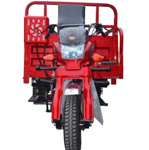 Tricycle puissant de 250 cm³ à essence, démarrage électrique/à manivelle, 5 vitesses, carrosserie ouverte, certifié CEE, 5 roues, pour le transport de marchandises lourdes - Product Image 5
