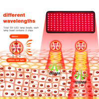 Sabuk Terapi Cahaya Merah OEM 660nm 850nm LED Inframerah Dekat untuk Pinggang, Punggung, dan Bahu