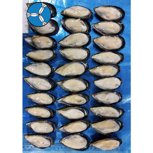 SANFENG SEAFOOD: Cozze Congelate a Mezza Conchiglia Affidabili per Supermercati e Servizi di Catering in Malesia - Product Image 1