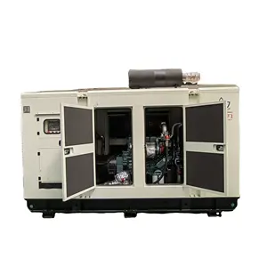 300KVA 250kw Super Silent Super sound proof Biogas LPG Biomass Natural Gas Generator Set