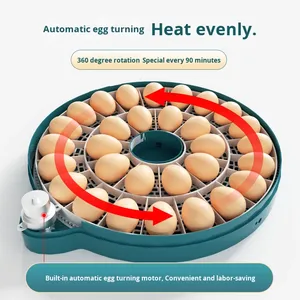 Hoàn <span class=keywords><strong>to</strong></span>àn tự động thông minh nhỏ hộ gia đình lồng ấp cho ngỗng Pigeon Parrot gà vịt Emu trứng mô hình mới - Product Image 4