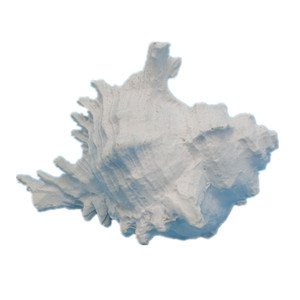 Polyresin Love Sea Conch Shell Corales Acuario para decoración Estatuilla - Product Image 6