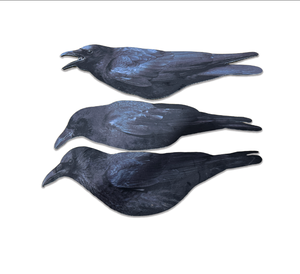 Décoys de chasse aux corbeaux en PP entièrement floqués, anti-reflet, imperméables, ultra-réalistes, fabriqués en usine (OEM/ODM) – Silhouettes d'oiseaux pour la chasse - Product Image 5