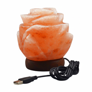 Vente en gros de lampe naturelle au sel de l'Himalaya sculptée en cristal de roche, fabrication artisanale pure, décoration d'intérieur, cadeau direct en usine, approvisionnement en vrac - Product Image 1