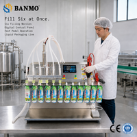 Machine de remplissage à pompe à diaphragme multi-buses BANMO MS-TSD-02 pour sachets à bec verseur, doypacks, jus, eau, sauces, huiles et liquides