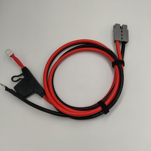 6AWG Haute Température 200 ° Câble de connexion de batterie avec porte-fusible intégré et connecteur rapide à 2 broches pour ESS - Product Image 2