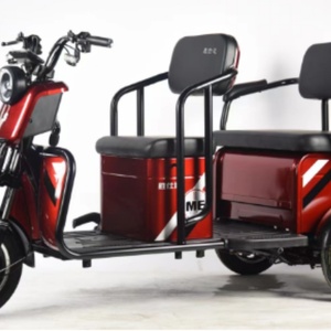 Triciclos Eléctricos de 600W/800W/1000W, Bicicleta Eléctrica de Carga de 3 Ruedas, Triciclo de Carga - Product Image 5