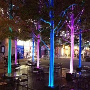 Kit de lumières de <span class=keywords><strong>plafond</strong></span> en fibre optique LED RGBW, lumières de jardin d'intérieur et d'extérieur, éclairage de Noël, filet décoratif, intérieur et extérieur - Product Image 3