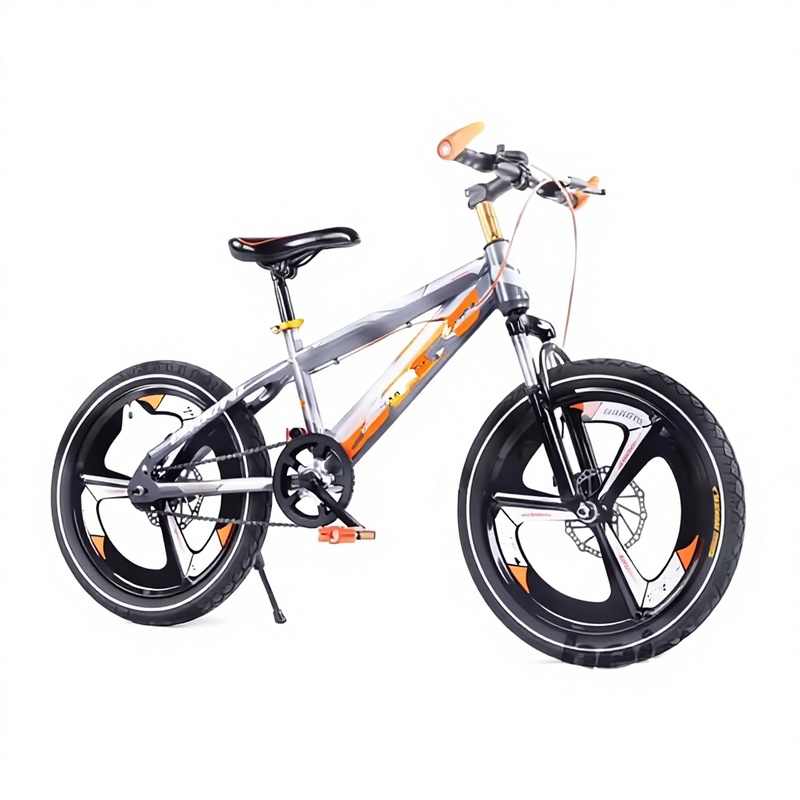 20 Inch Folding Beach Cruiser Bike