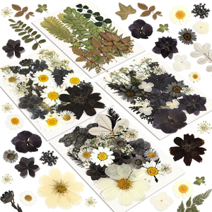 Kit di <span class=keywords><strong>Fiori</strong></span> Naturali Essiccati <span class=keywords><strong>e</strong></span> Pressati Misti, <span class=keywords><strong>Fiori</strong></span> Veri Colorati <span class=keywords><strong>e</strong></span> Piatti per Resina Epossidica, Sottobicchieri, Segnalibri, Custodie per Telefono, Artigianato Fai-da-Te - Product Image 4